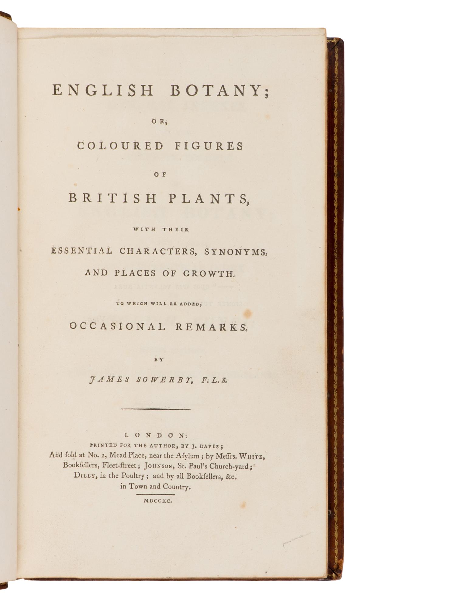 [Natural History] Sowerby, James. English Botany; or, Coloured Figures of British Plants ...