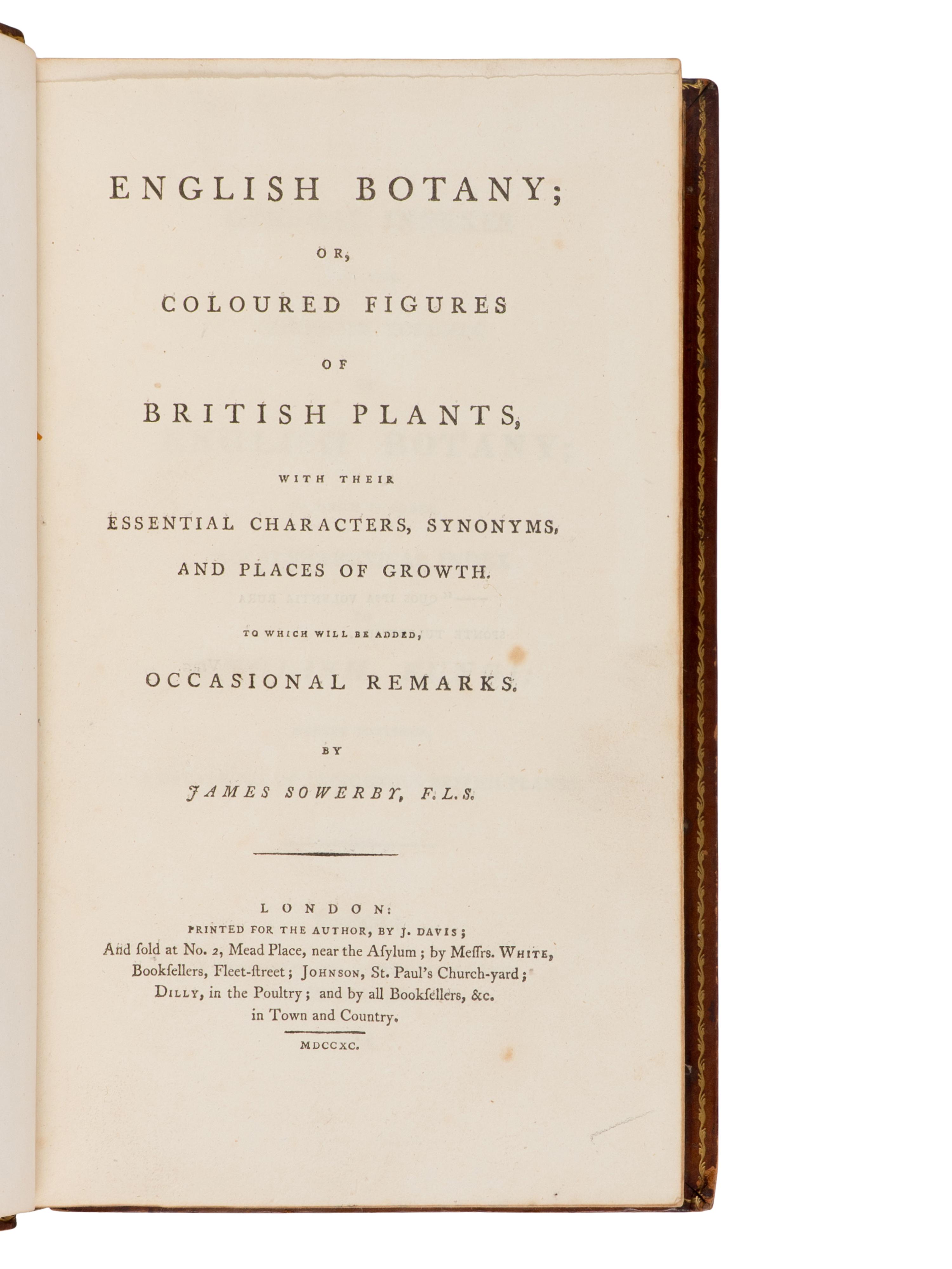 [Natural History] Sowerby, James. English Botany; or, Coloured Figures of British Plants ...
