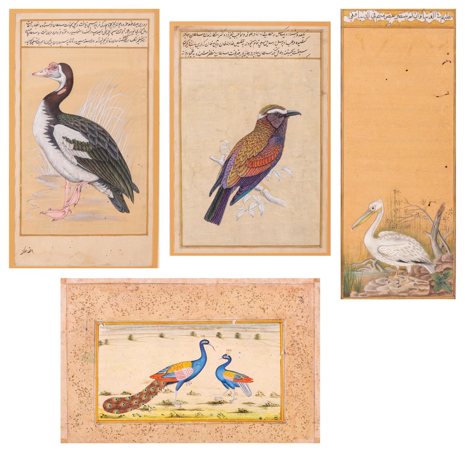 Four Indian and Islamic Miniature Paintings Depicting Birds