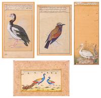 Four Indian and Islamic Miniature Paintings Depicting Birds