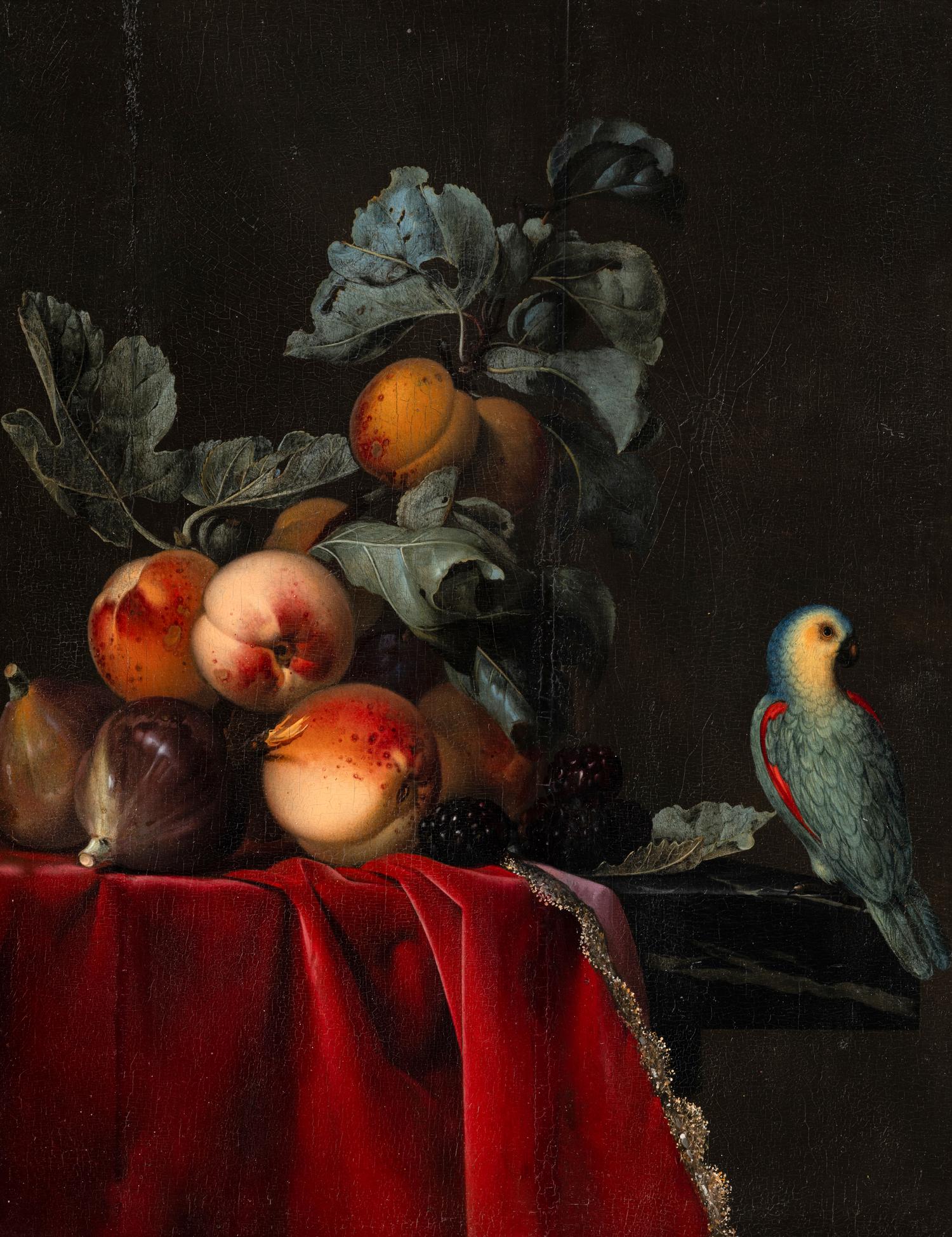 Still Life with Peaches and a Perroquet , 1651