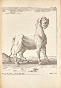 [Natural History] Feuillée, Louis. Journal des Observations Physiques, Mathematiques et Botaniques, Faites par l'ordre du Roy sur les Cotes Orientales de l'Amerique Meridonale, & dans les Indes Occidentales, depuis l'annee 1707. jusques en 1712