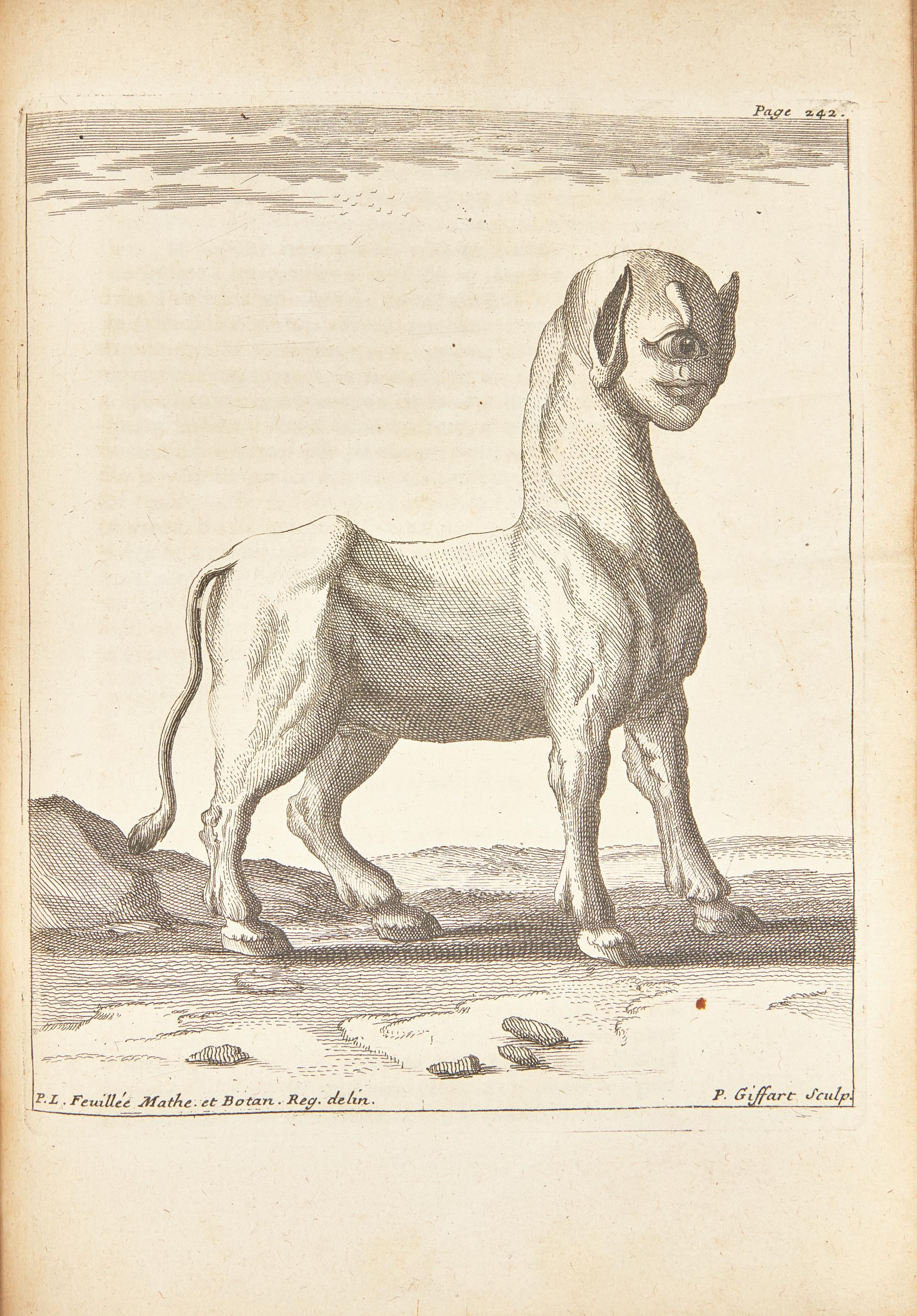 [Natural History] Feuillée, Louis. Journal des Observations Physiques, Mathematiques et Botaniques, Faites par l'ordre du Roy sur les Cotes Orientales de l'Amerique Meridonale, & dans les Indes Occidentales, depuis l'annee 1707. jusques en 1712