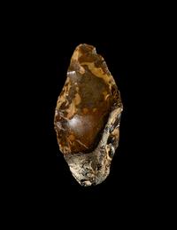 A Paleolithic Flint Hand Axe