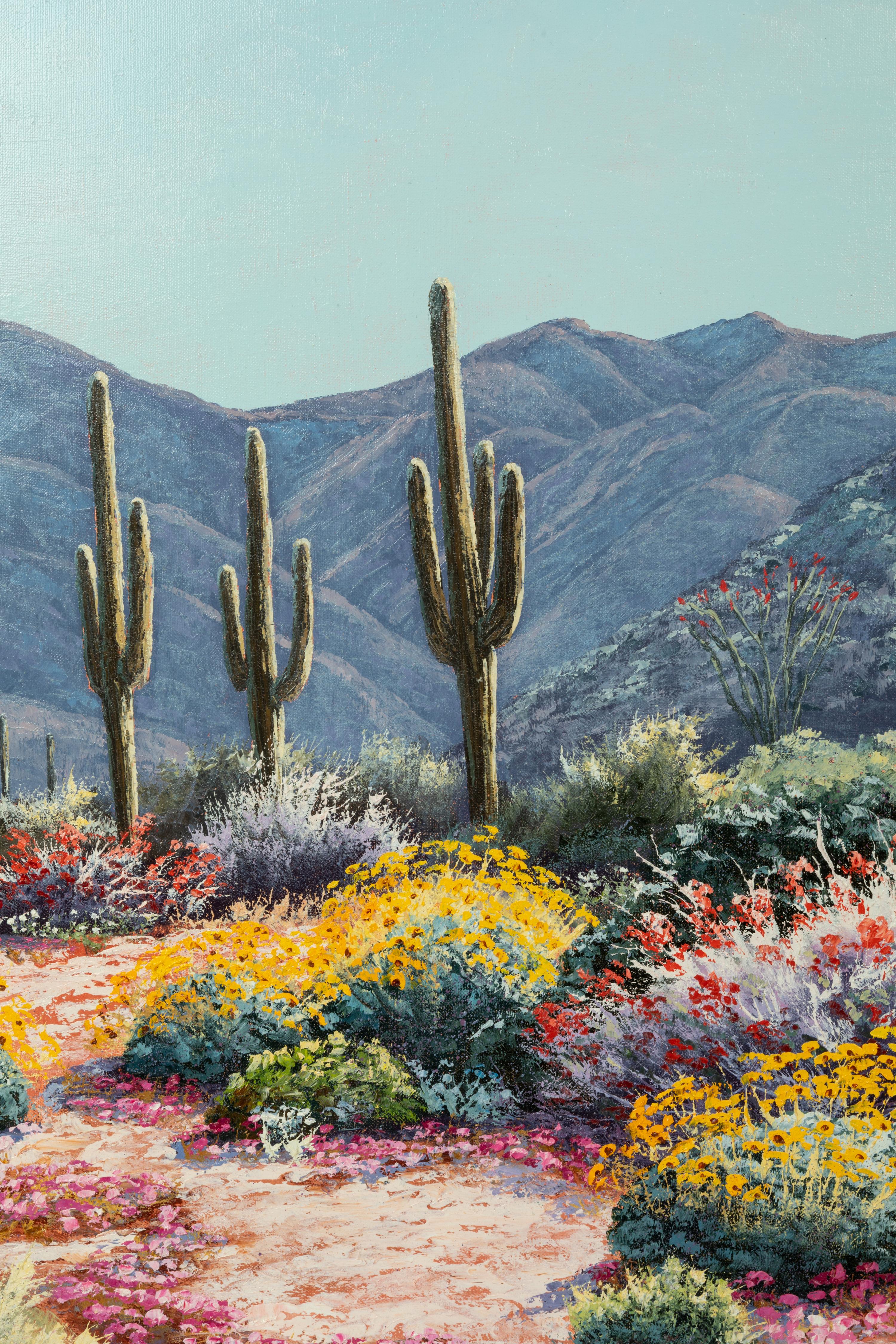Desert Landscape
