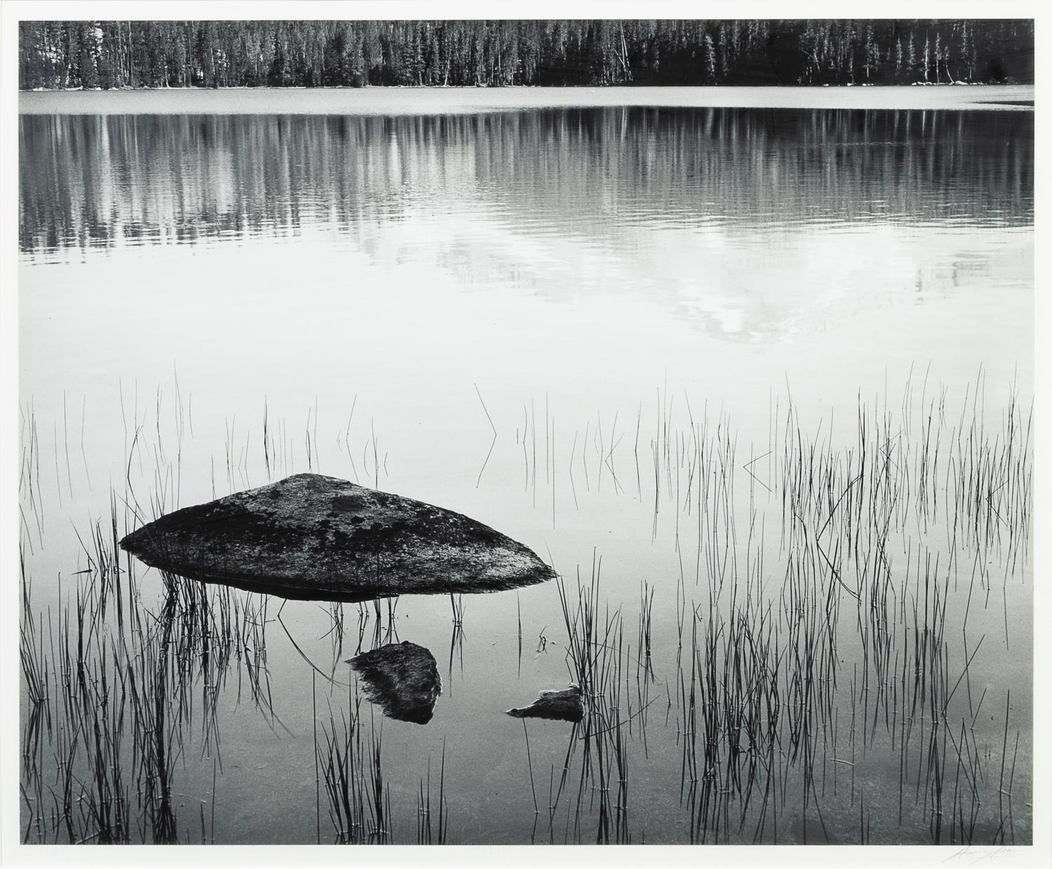 Ansel Adams, (American, 1902-1984), Rock and Grass, Moraine Lake, Sequoia National Park, c. 1932