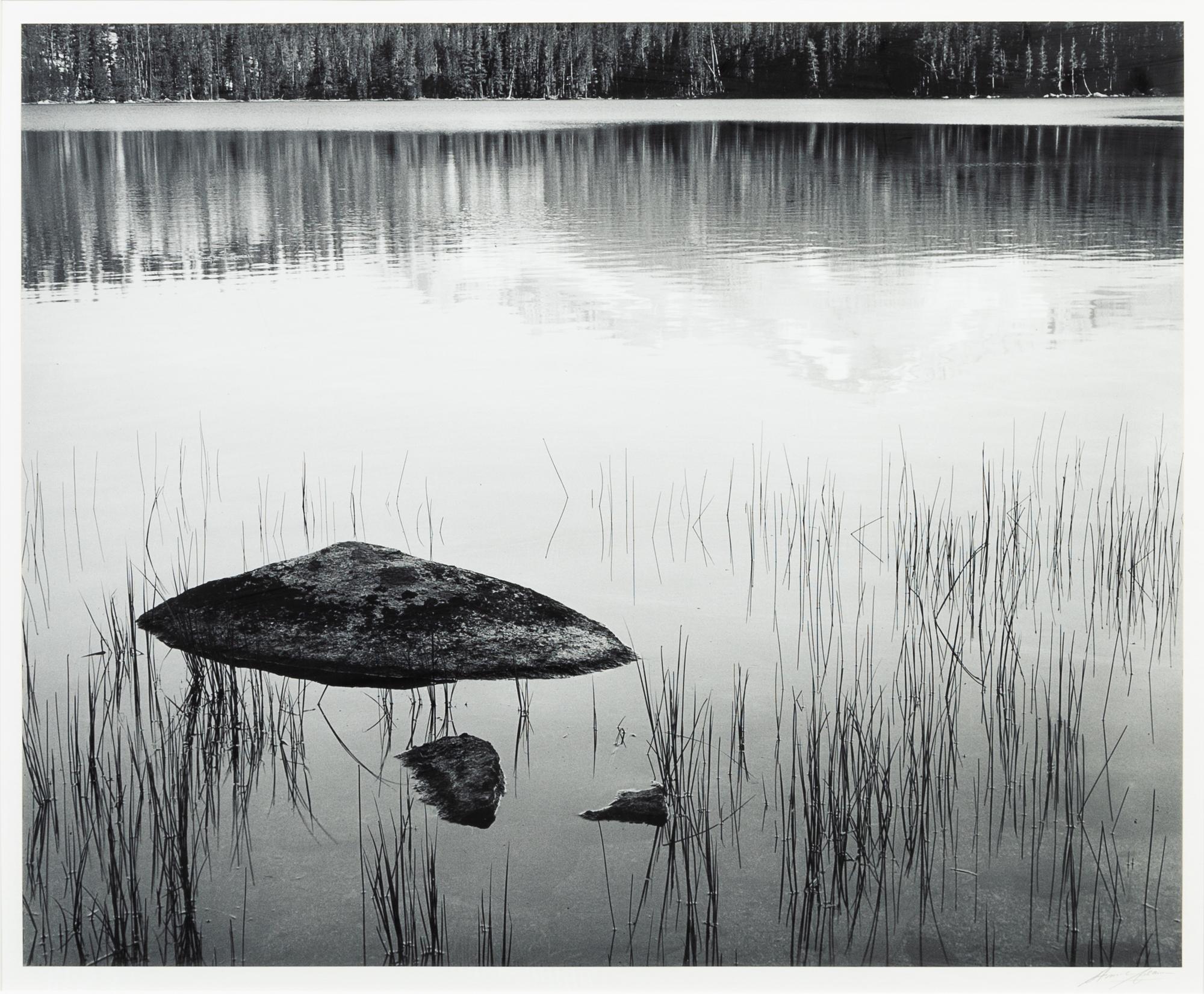 Ansel Adams, (American, 1902-1984), Rock and Grass, Moraine Lake, Sequoia National Park, c. 1932