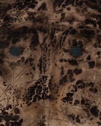 A Group of Four Works ( Als I2 , Als I3 , Testa di Uomo , and Il Bel Poeta) , 1959-60