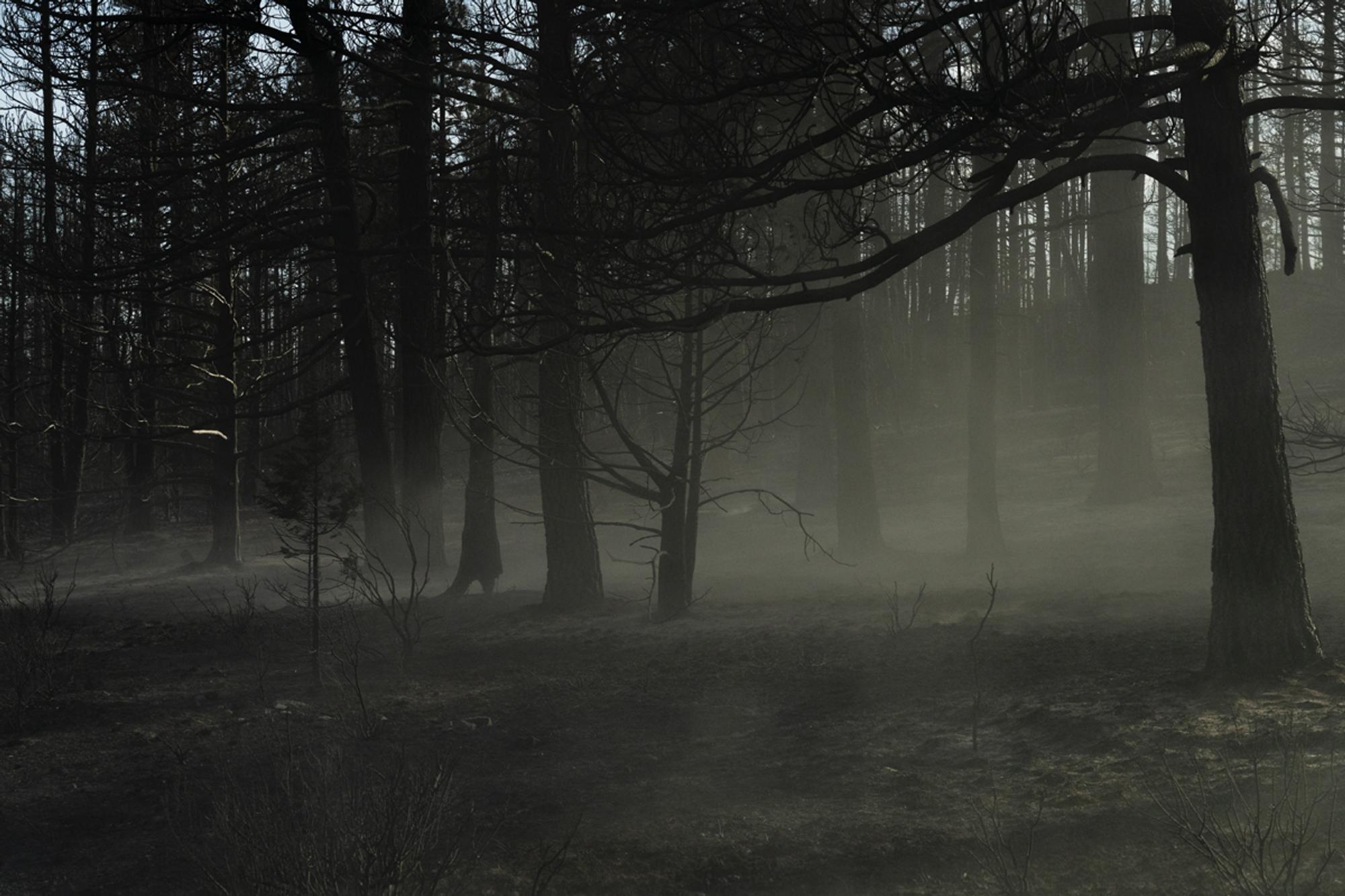 Linger, 2022
