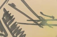 Untitled (TEHA Study #2)