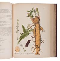 [NATURAL HISTORY]. MILLSPAUGH, Charles F. (1854-1923). American Medicinal Plants; An Illustrated and Descriptive Guide to the American Plants Used as Homeopathic Remedies . New York and Philadelphia: Boericke & Tafel, 1887.