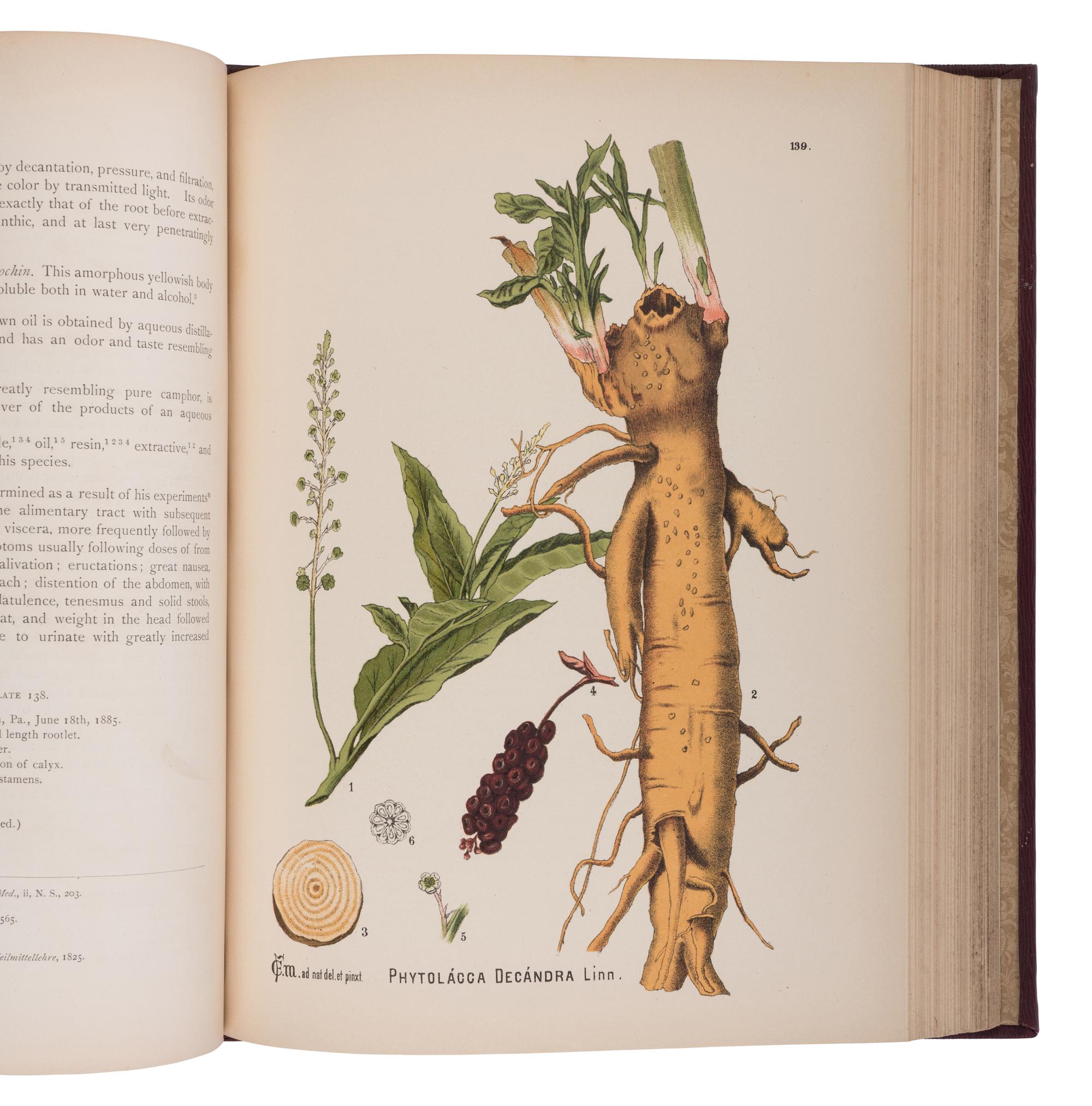 [NATURAL HISTORY]. MILLSPAUGH, Charles F. (1854-1923). American Medicinal Plants; An Illustrated and Descriptive Guide to the American Plants Used as Homeopathic Remedies . New York and Philadelphia: Boericke & Tafel, 1887.