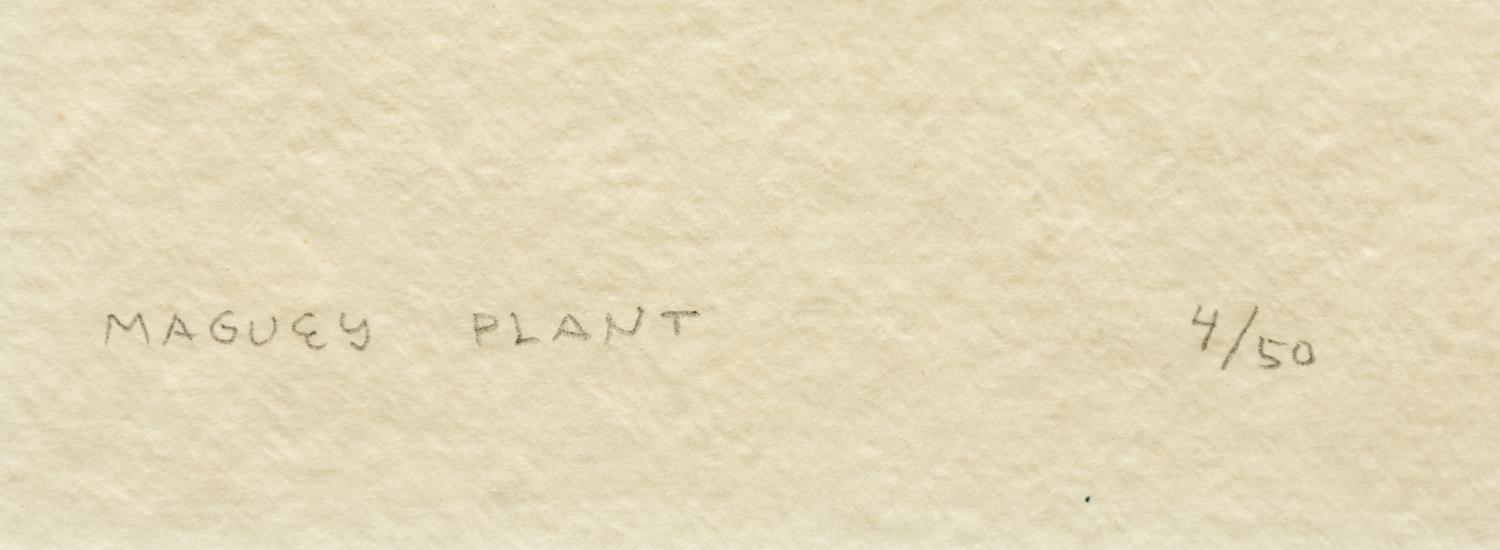 Maguey Plant , edition 4/50