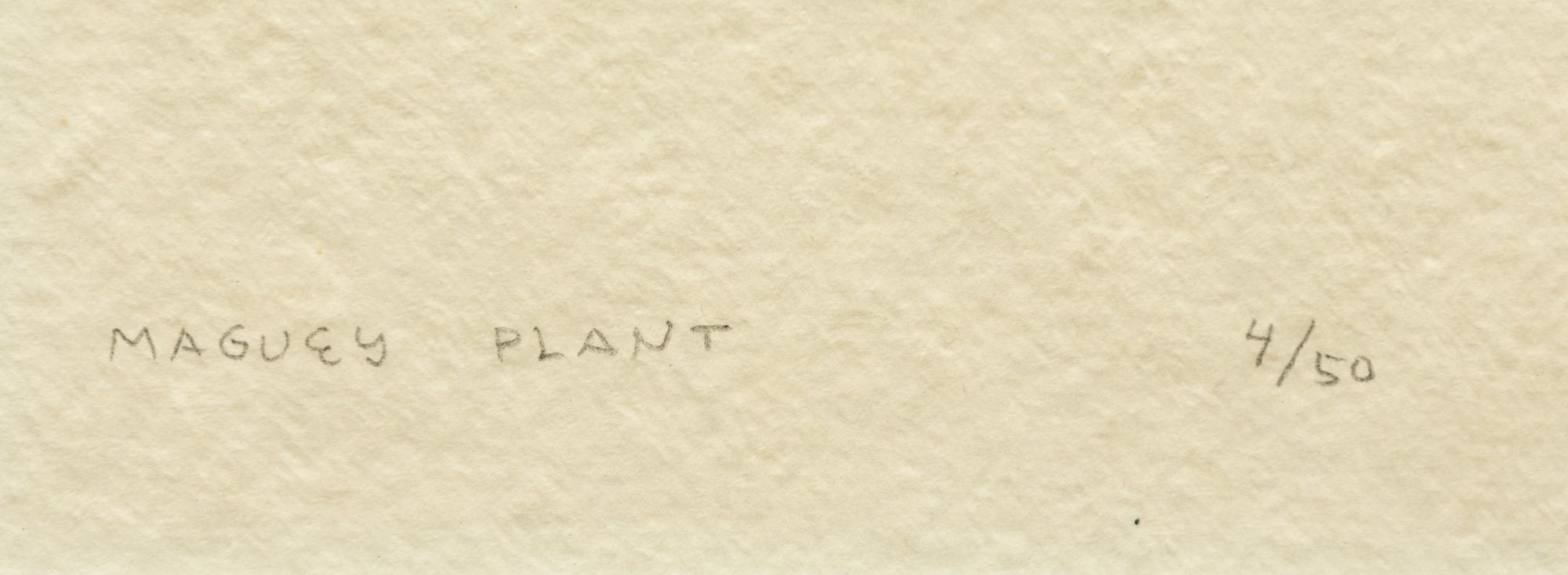 Maguey Plant , edition 4/50