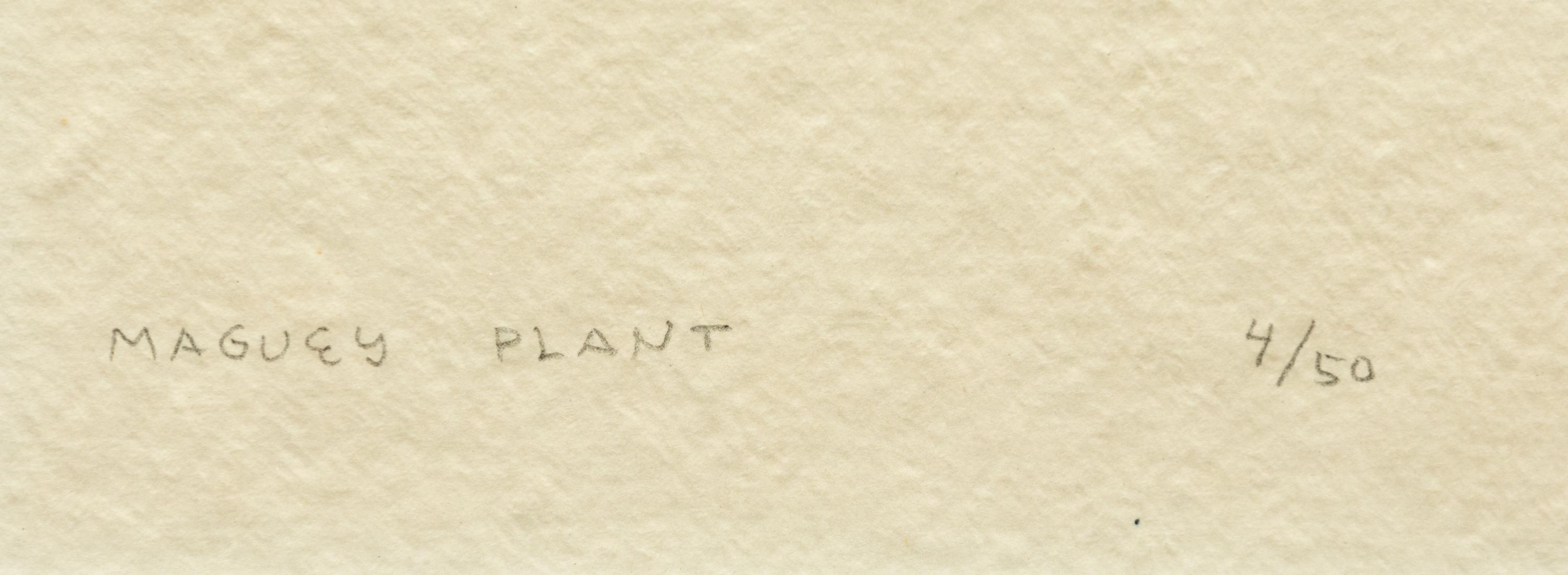 Maguey Plant , edition 4/50