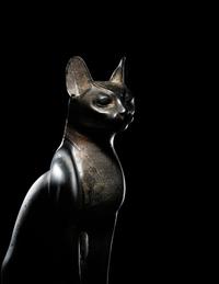 An Egyptian Bronze Cat