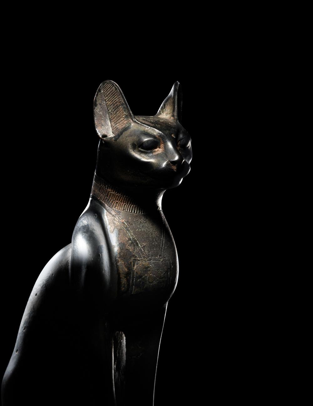 <div>An Egyptian Bronze Cat</div>