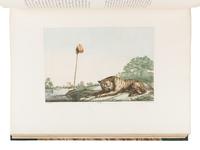 SOLVYNS, Frans Balthazar (1760-1824). Les Hindous ou Description de Leurs Moeurs, Coutumes et Ceremonies . Paris: Chez l'Auteur & H. Nicolle, 1808-1812.