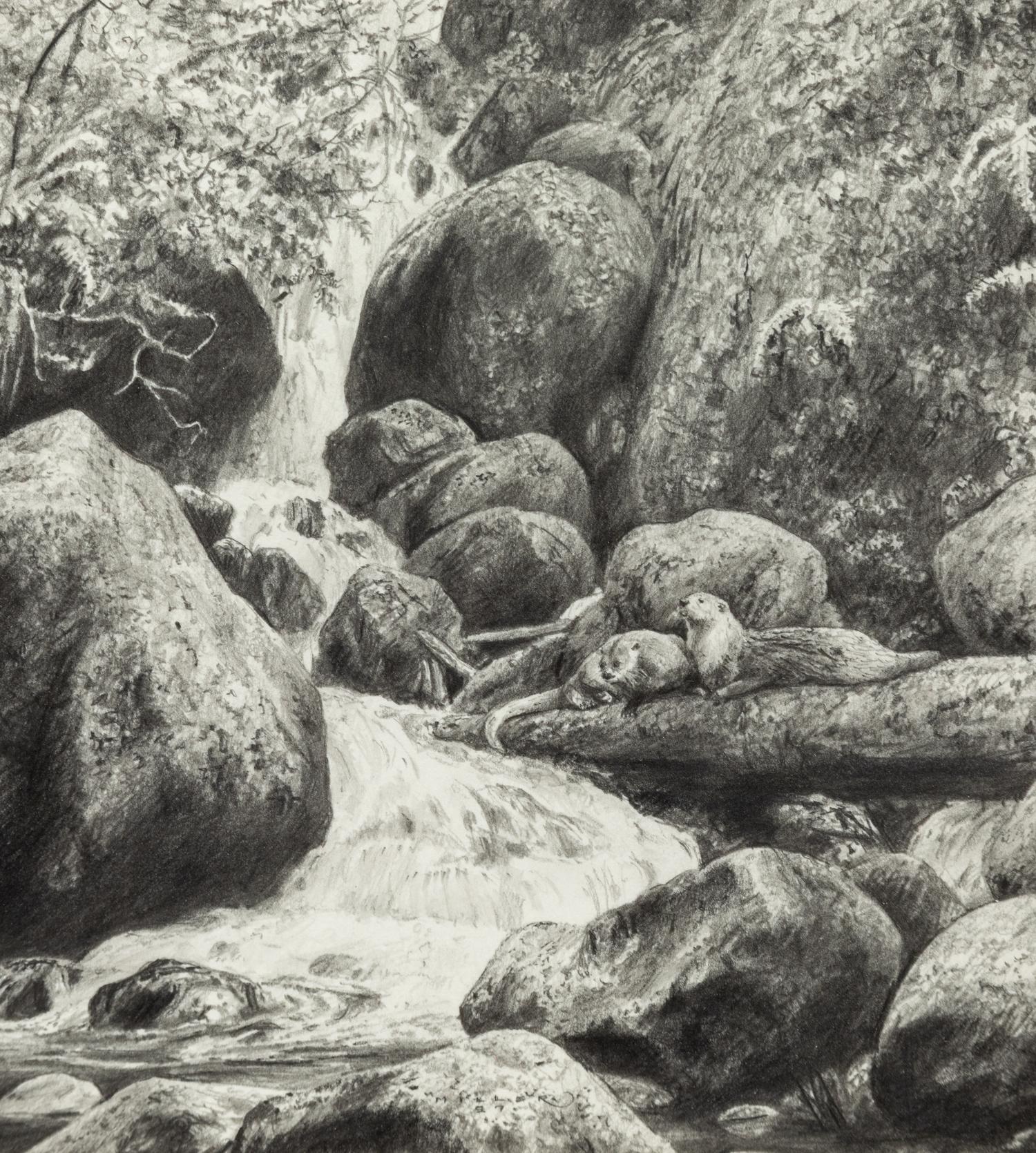 Spring Runoff , 1997