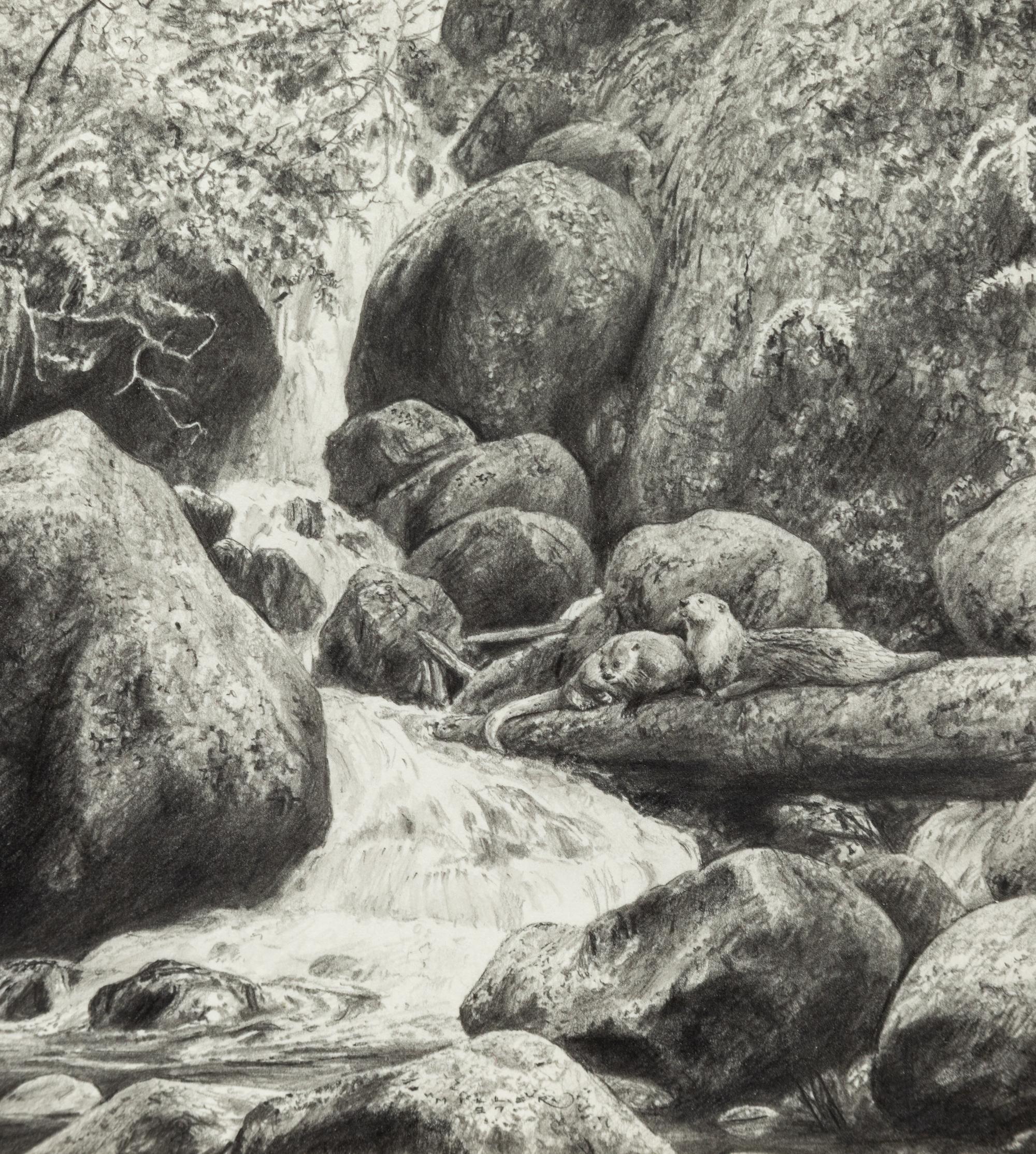 Spring Runoff , 1997
