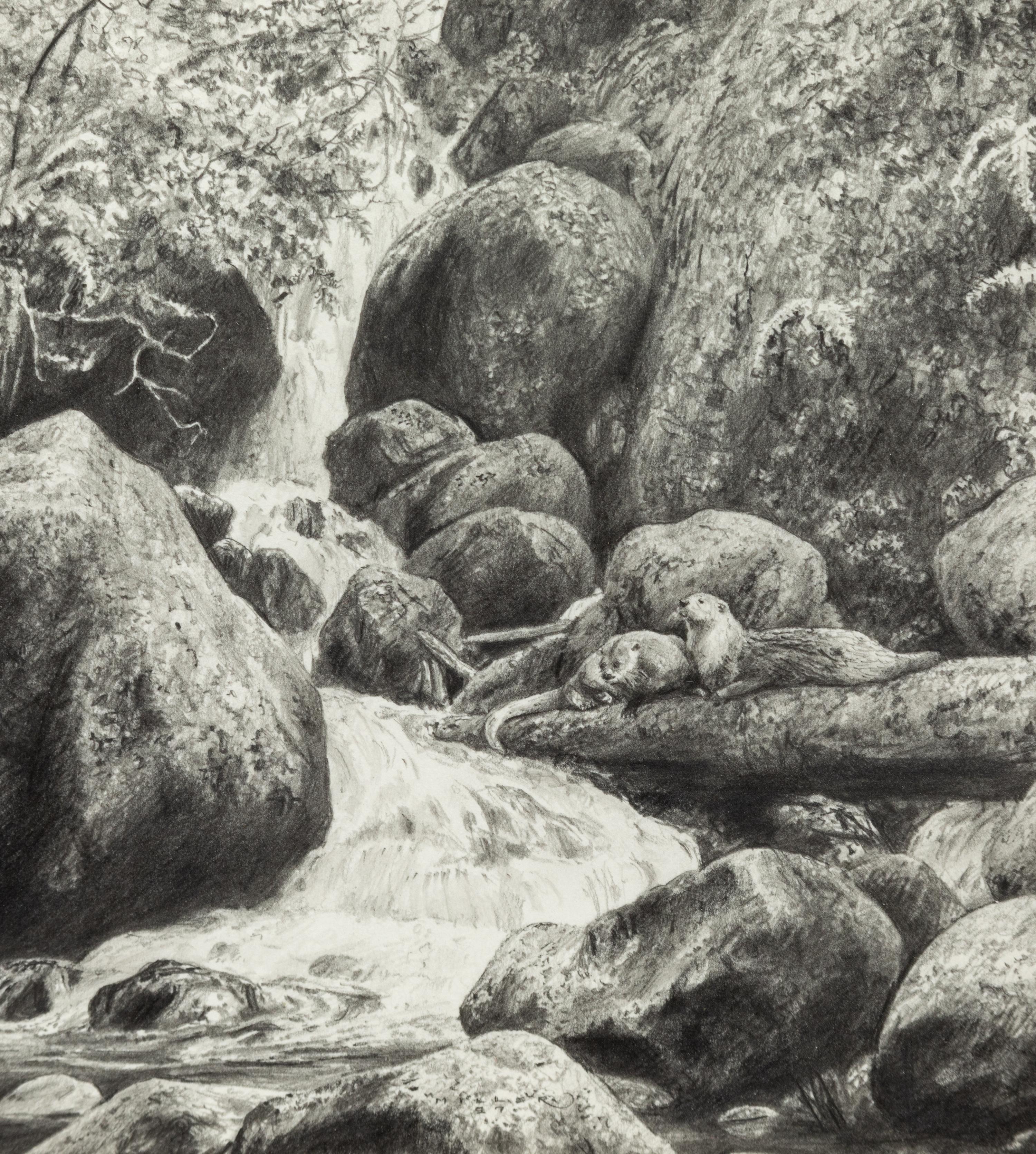 Spring Runoff , 1997