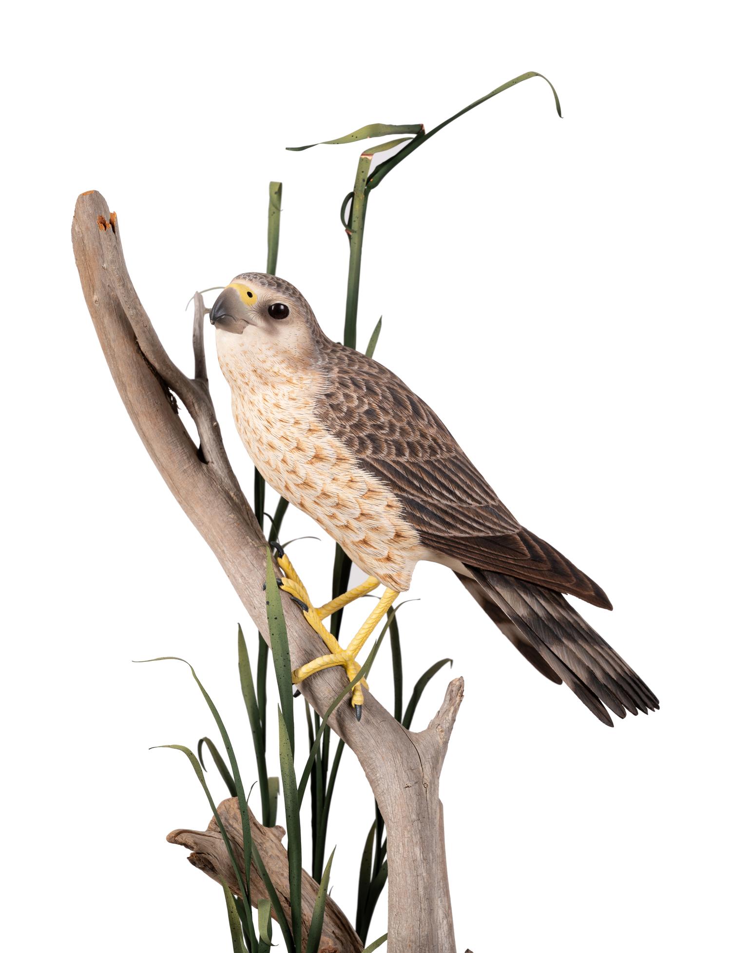 Bird on Branch