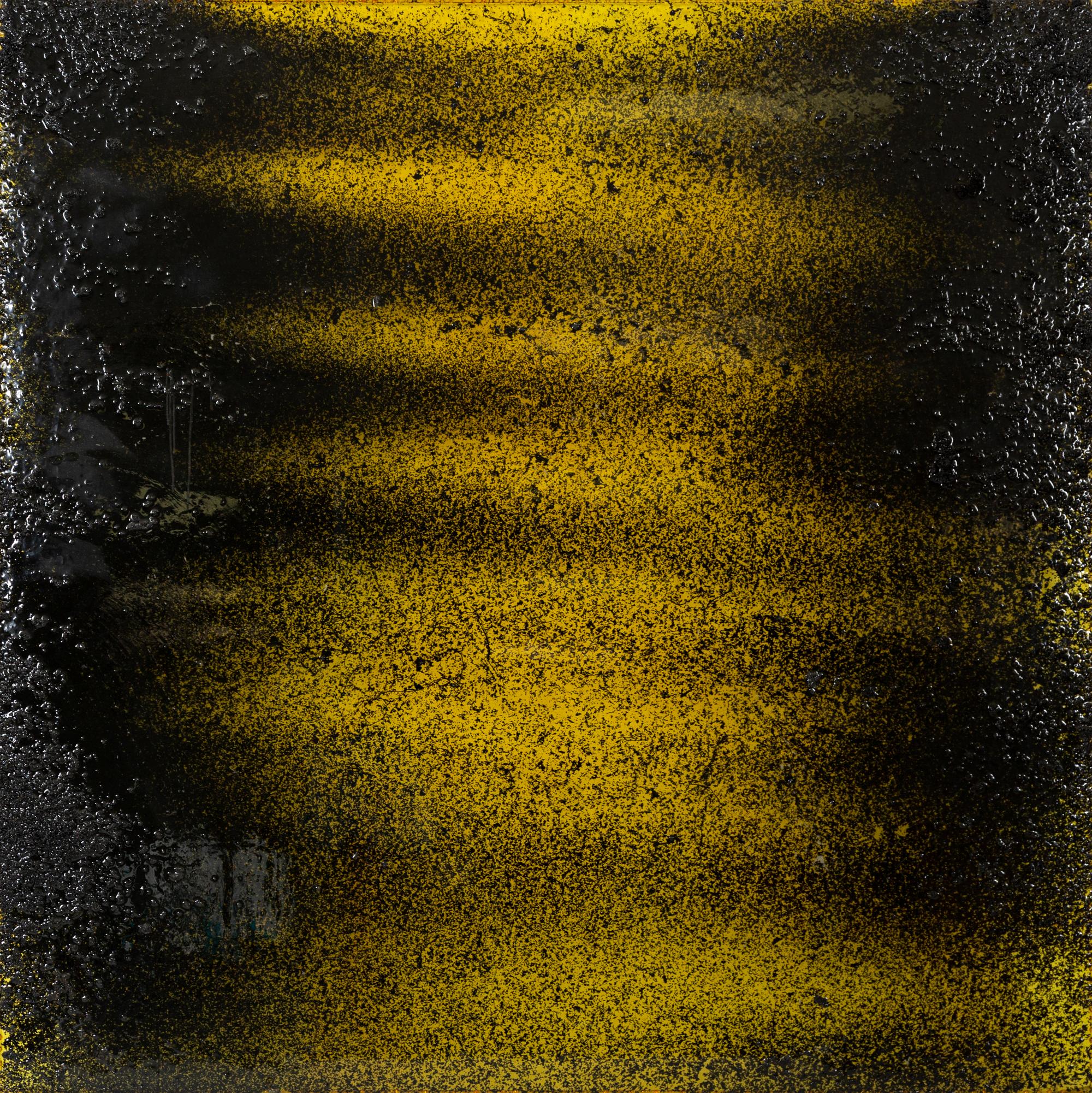 Landscape (Yellow) , 2010