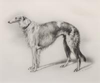 After N.A. Martynow, (Russian, circa 1874-79), Four lithographs after the original etchings,Portraits of Borzois, published circa 1938.