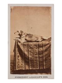 [LINCOLNIANA]. CDV of Abraham Lincoln's dog, Fido. Springfield, IL: F.W. Ingmire, ca 1861.