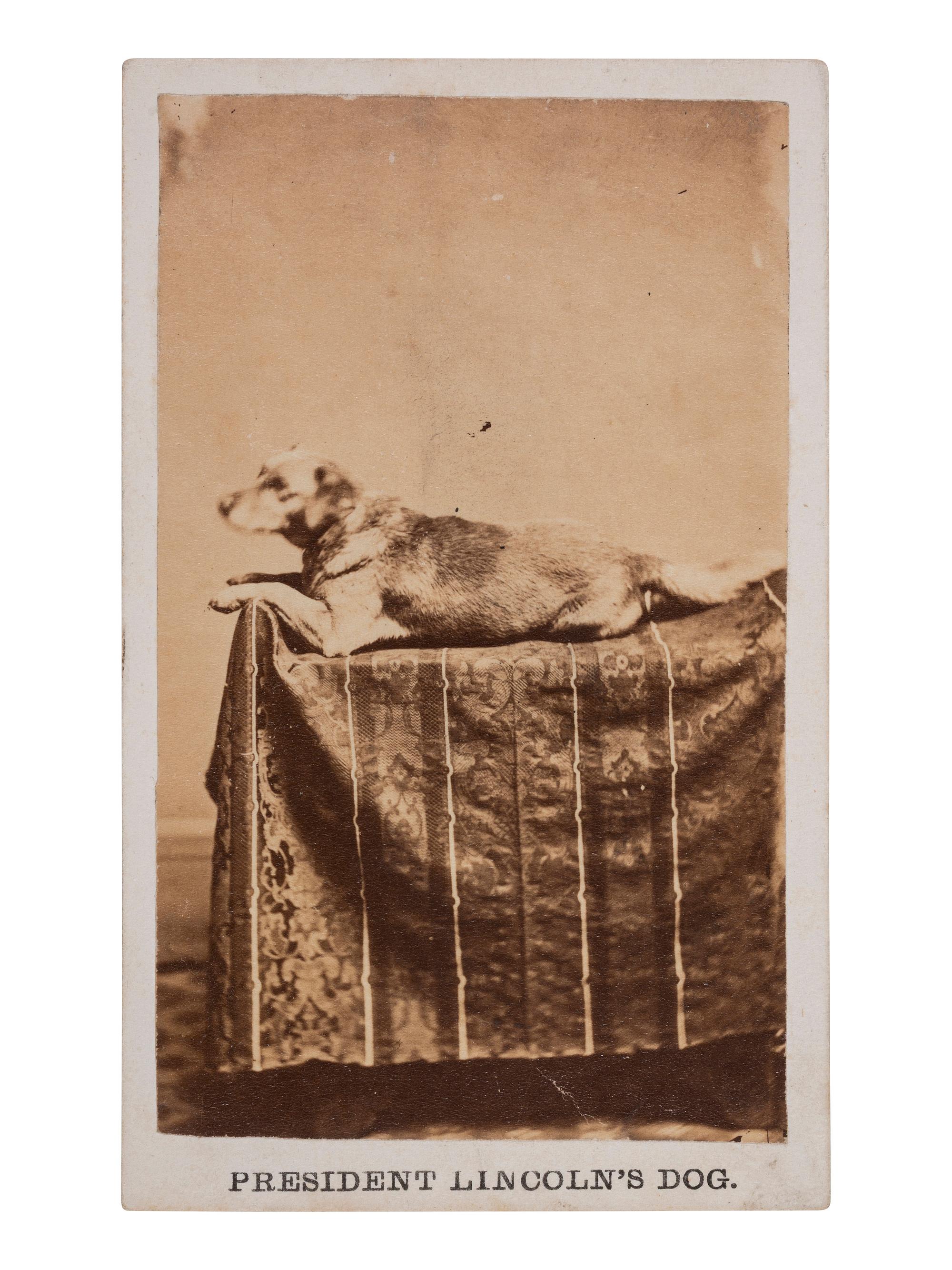 [LINCOLNIANA]. CDV of Abraham Lincoln's dog, Fido. Springfield, IL: F.W. Ingmire, ca 1861.
