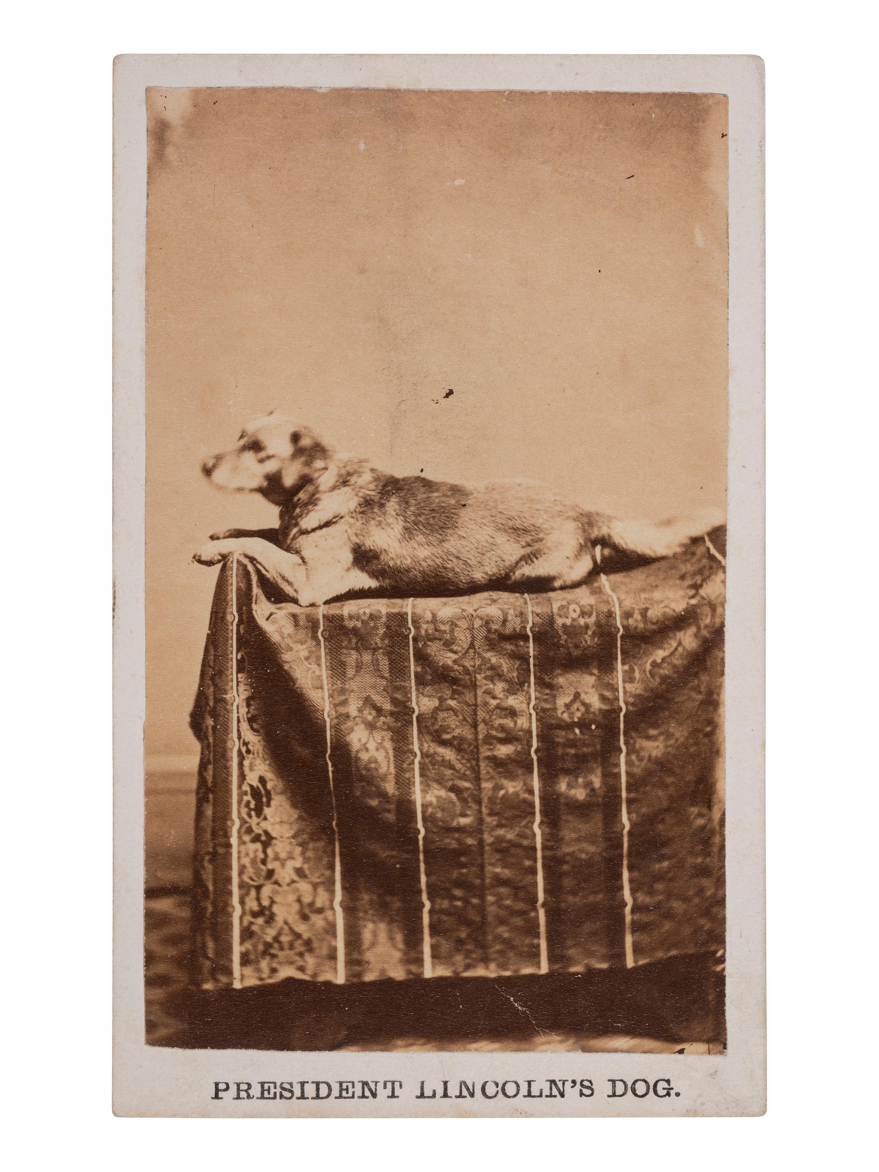 [LINCOLNIANA]. CDV of Abraham Lincoln's dog, Fido. Springfield, IL: F.W. Ingmire, ca 1861.