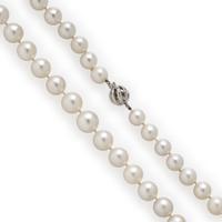 Cultured Pearl Necklace