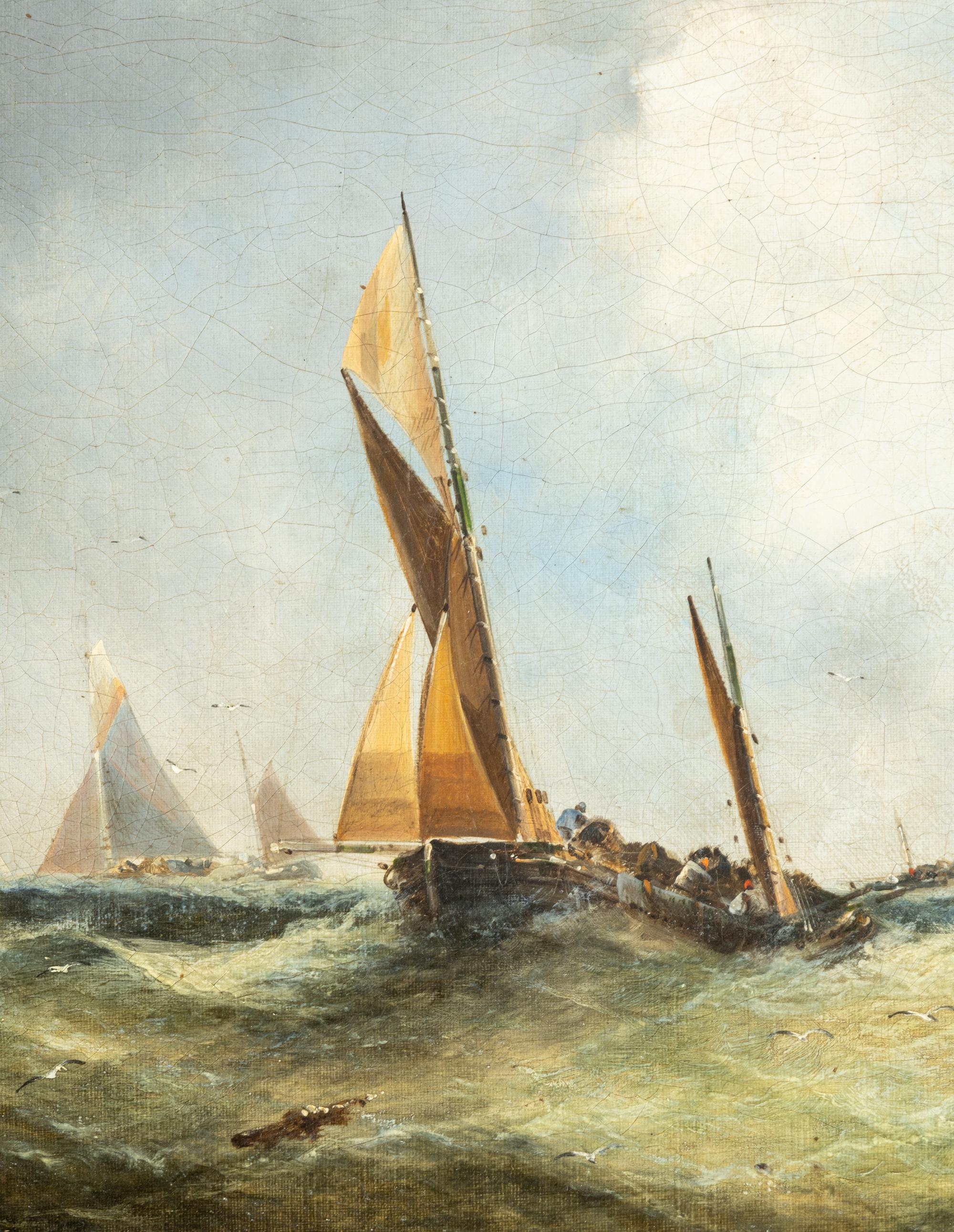 Cutting the Tide