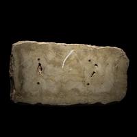 A Roman Pavonazzetto Marble Laconian Hound