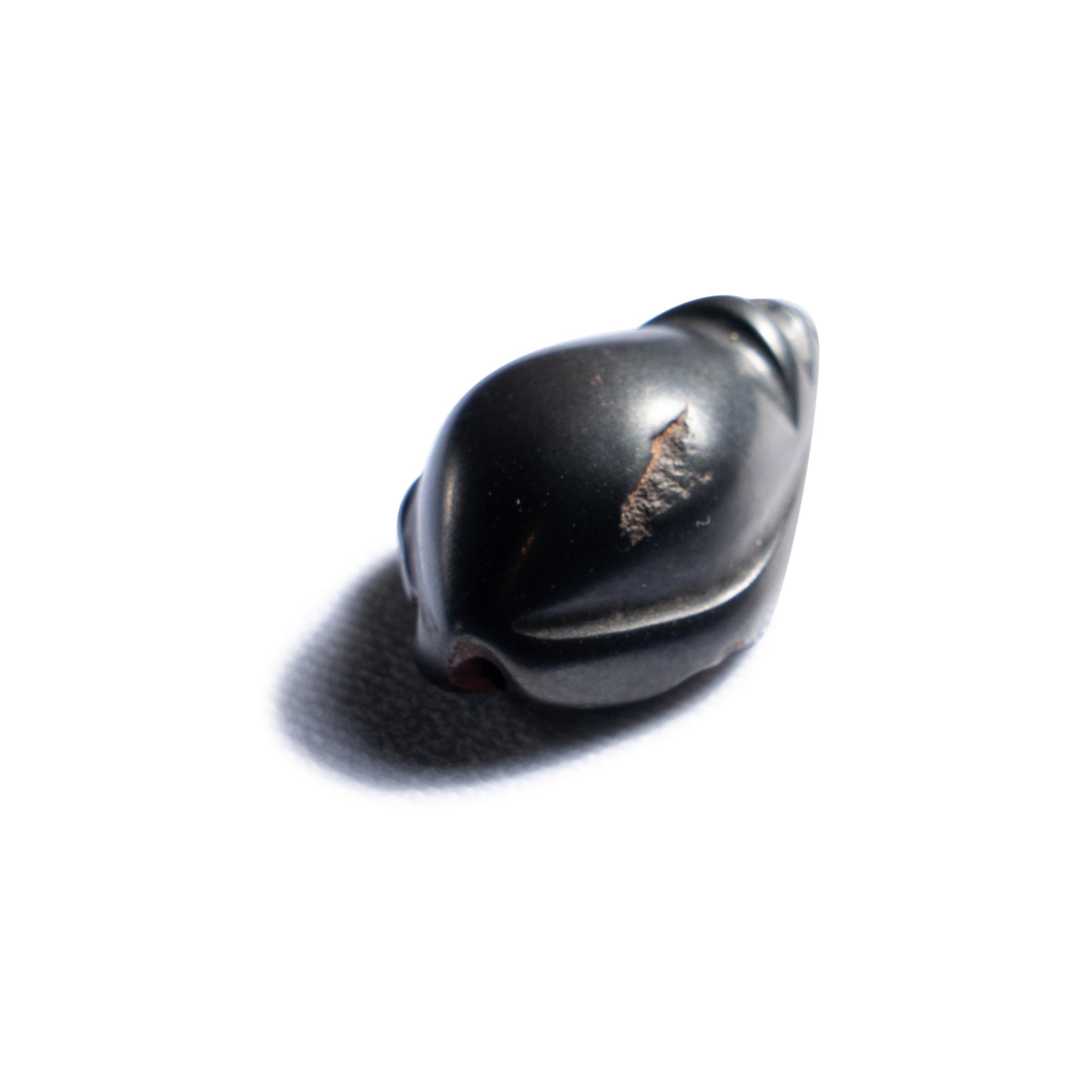 A Mesopotamian Hematite Weight in the Form of a Shell