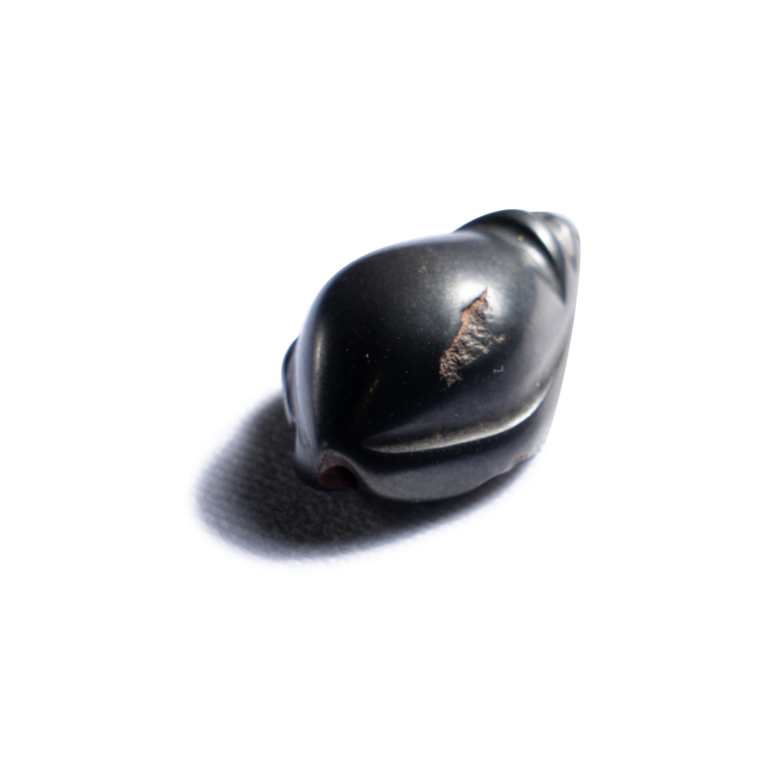 A Mesopotamian Hematite Weight in the Form of a Shell