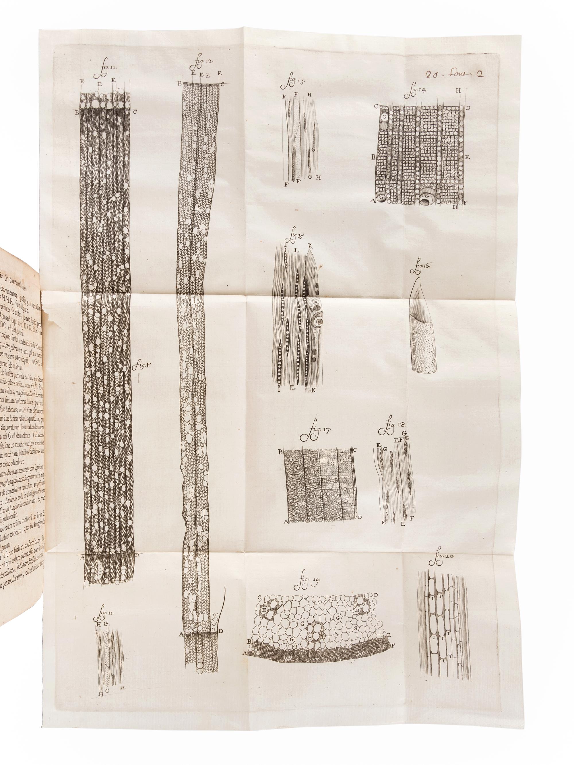 LEEUWENHOEK, Antoni van (1632-1723). Anatomia seu interiora rerum . Leiden: Cornelius Boutesteyn, 1687. -- Continuatio epistolarum . Leiden: Cornelius Boutesteyn, 1689