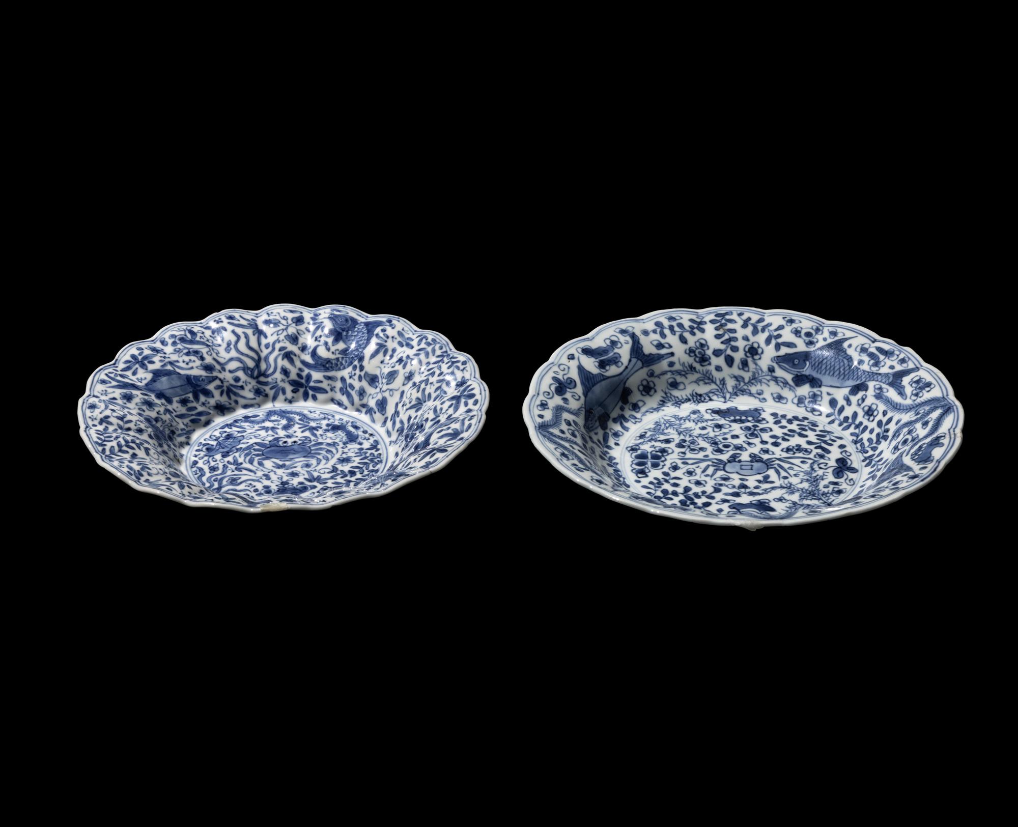Two Chinese Blue and White Porcelain Plates