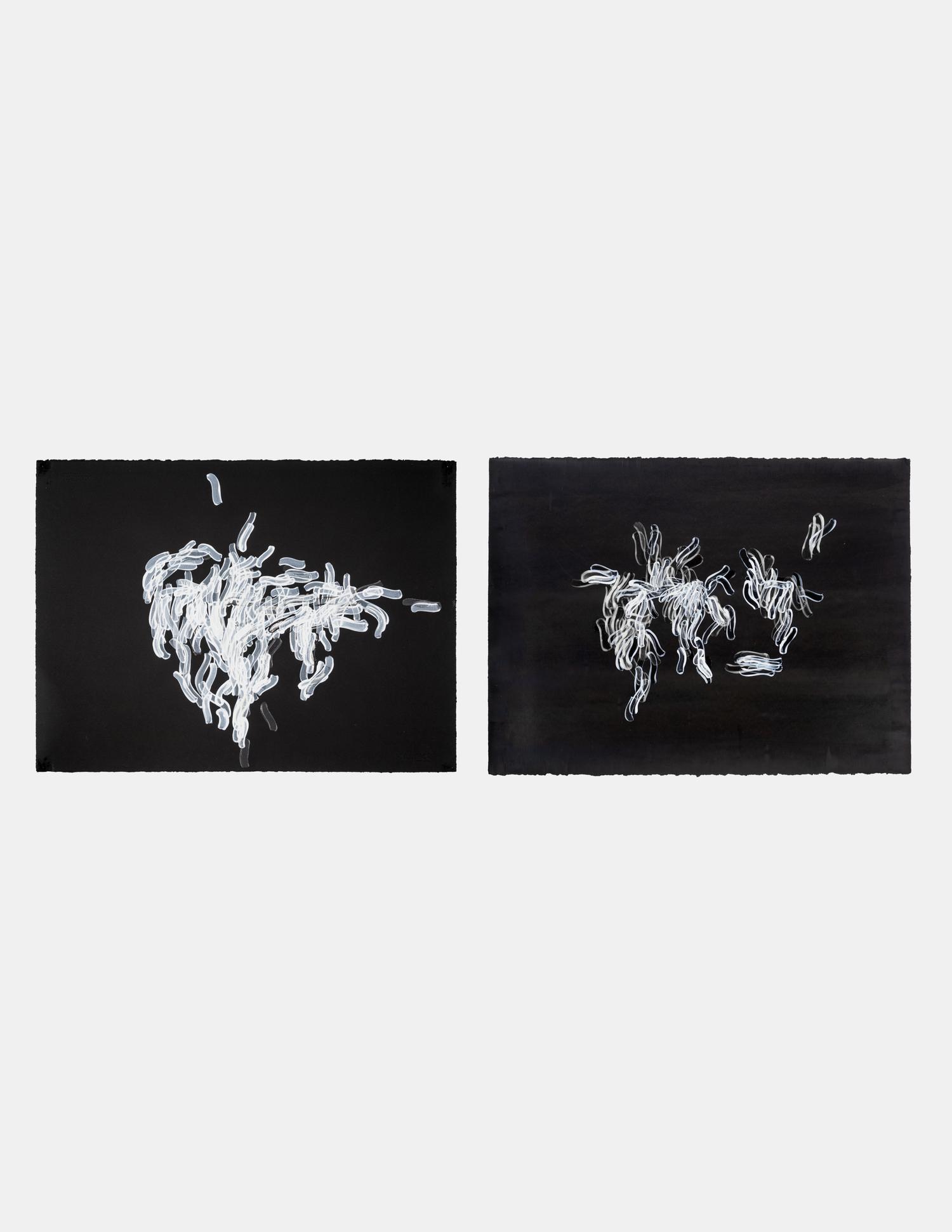 Hedge and Hedge (A Pair of Works), 2007