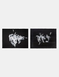 Hedge and Hedge (A Pair of Works), 2007