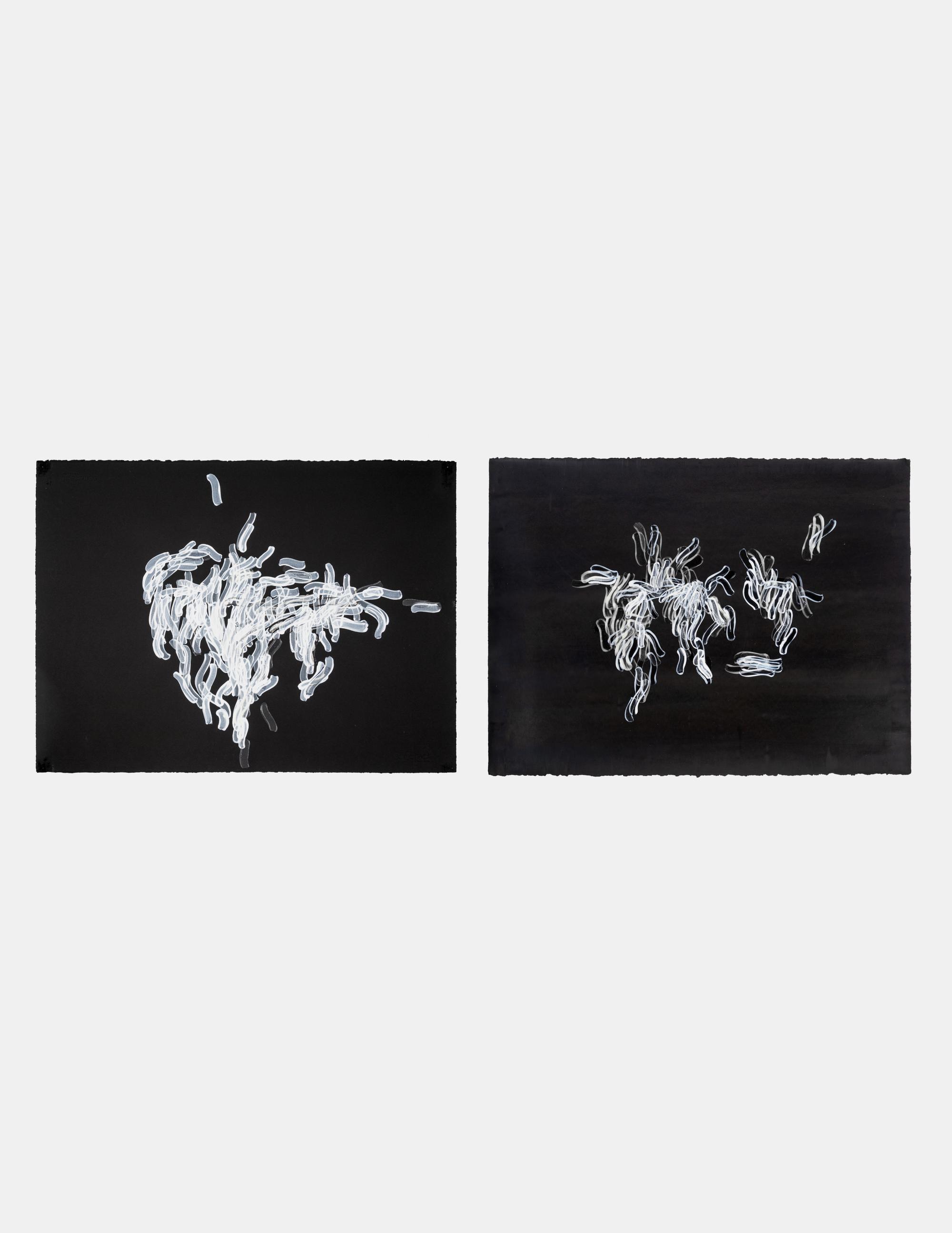 Hedge and Hedge (A Pair of Works), 2007