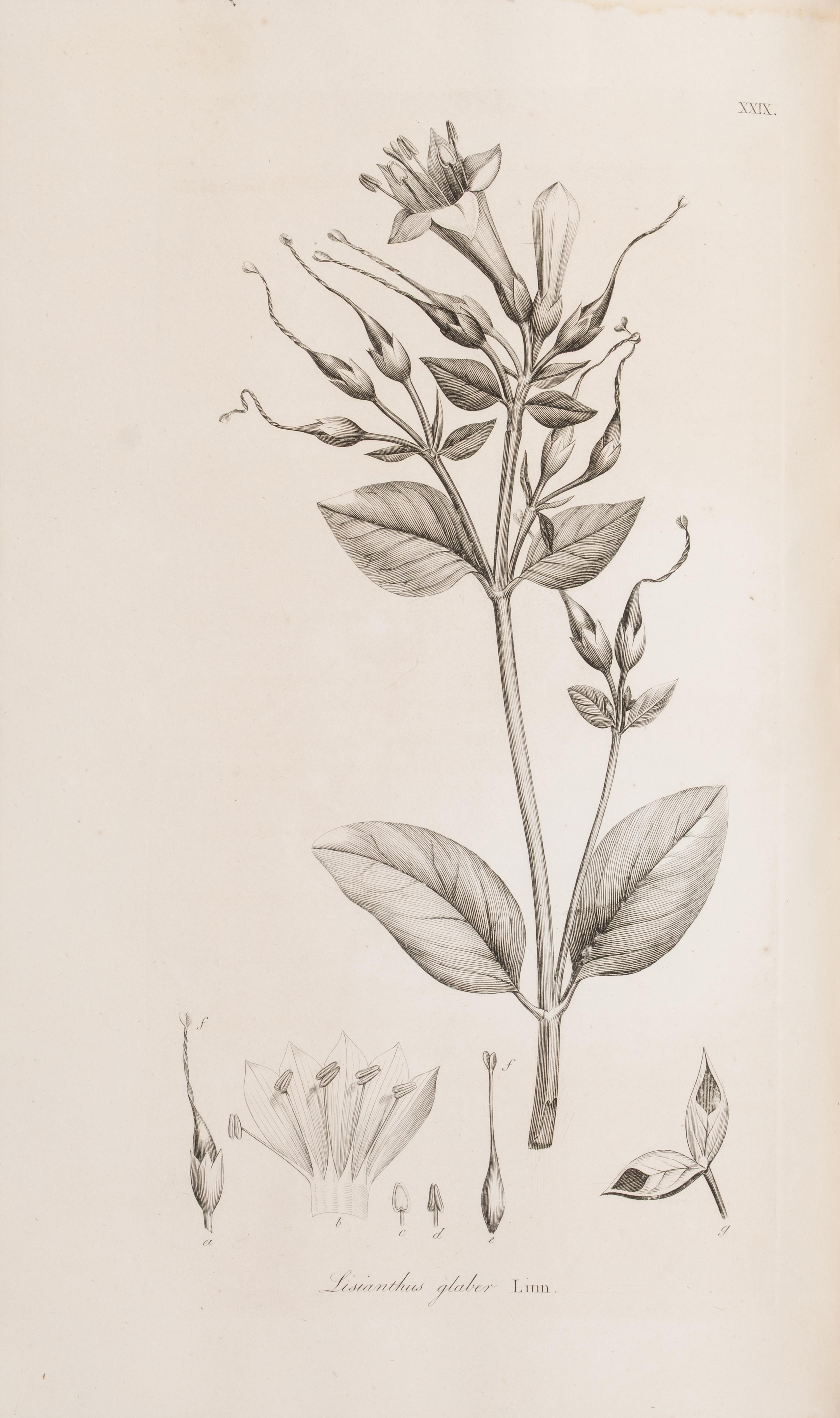 [Natural History] Smith, Sir James Edward. Plantarum Icones Hactenus Ineditae