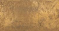 A Herve Van Der Straeten Bronze Coque Coupe