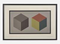 Sol LeWitt (American, 1928-2007), Double Cubes in Grays and Colors Superimposed