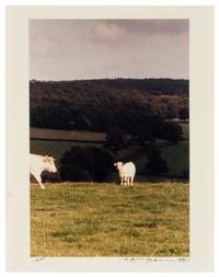 Six Works, 1991-1994
