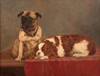 John Henry Dolph (American, 1835-1903) - Pug and Blenheim Spaniel on Table with Red Drapery