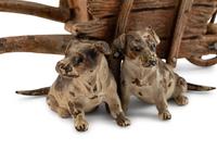 An Austrian Cold-Painted Group of Dogs and a Wheelbarrow — EARLY 20TH CENTURY