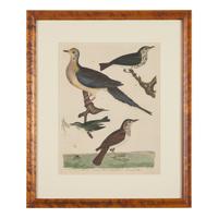 Alexander Lawson (1773-1846) and John G. Warnicke (died 1818), After Alexander Wilson (1766-1813), A Set of Sixteen Hand-Colored Engravings of Various Birds