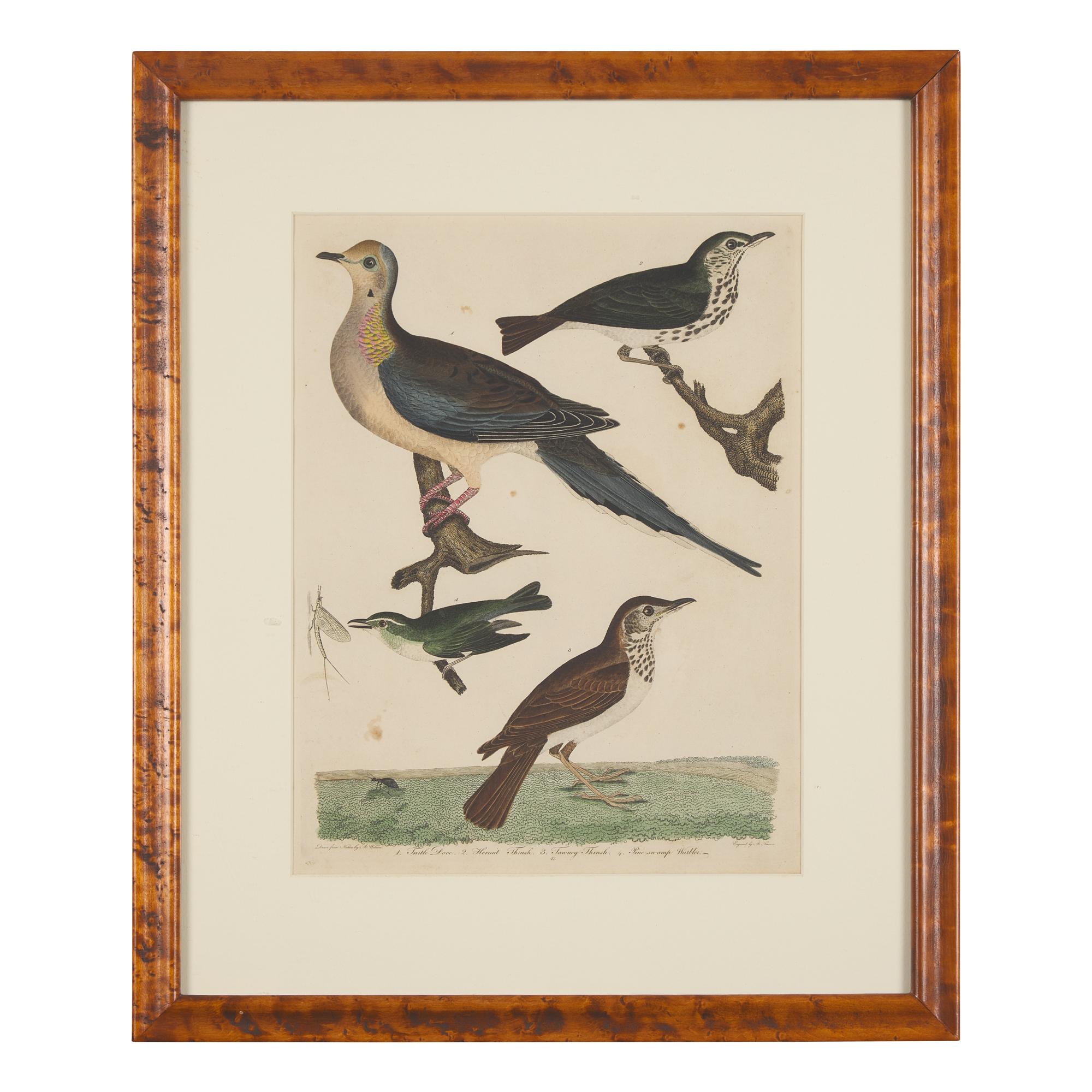 Alexander Lawson (1773-1846) and John G. Warnicke (died 1818), After Alexander Wilson (1766-1813), A Set of Sixteen Hand-Colored Engravings of Various Birds