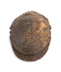 An Egyptian Stone Heart Scarab